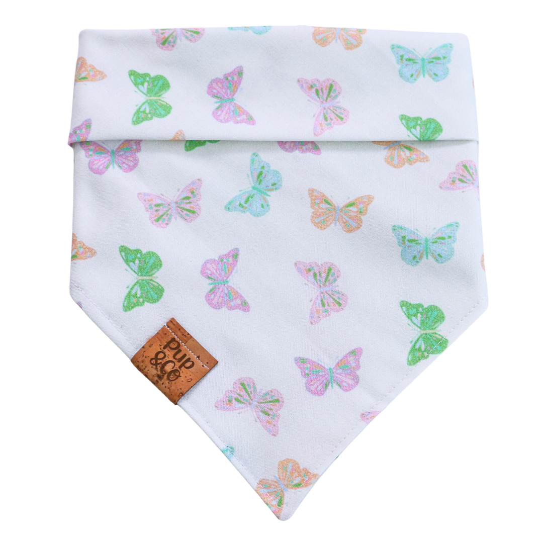 butterfly babe