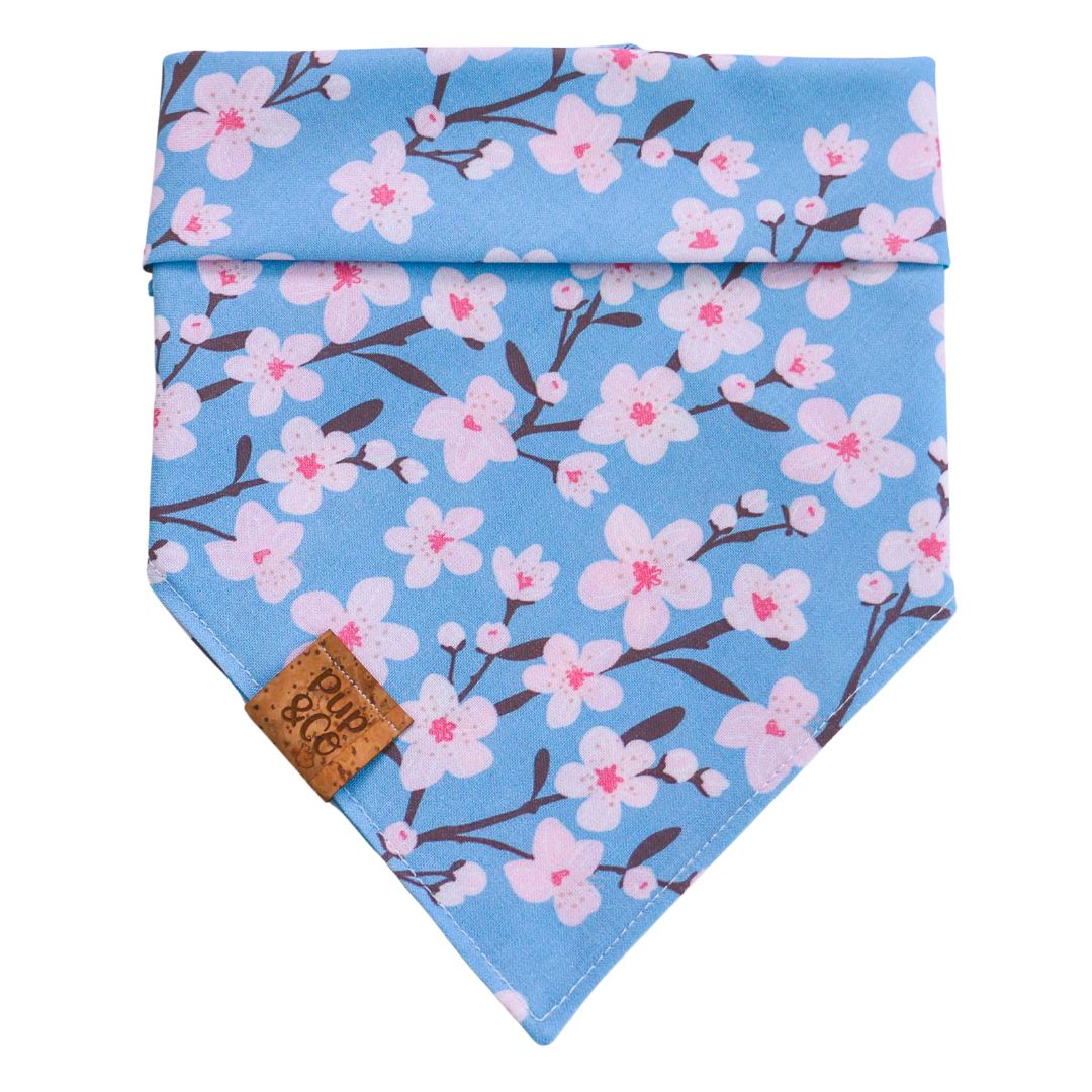 cherry blossom bliss