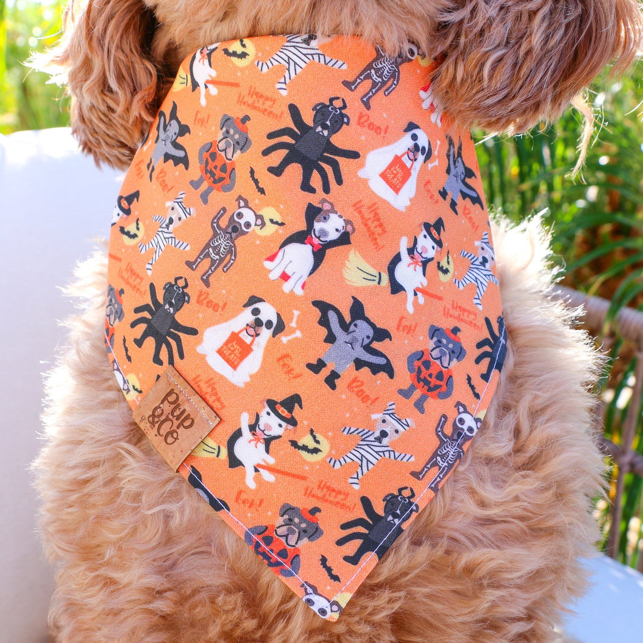 costume pawty