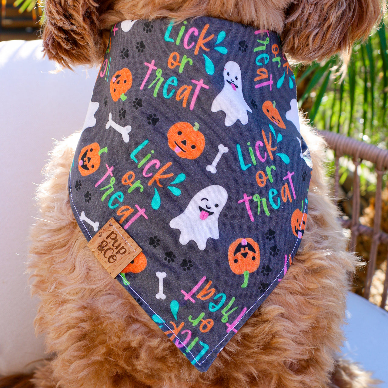 lick or treat