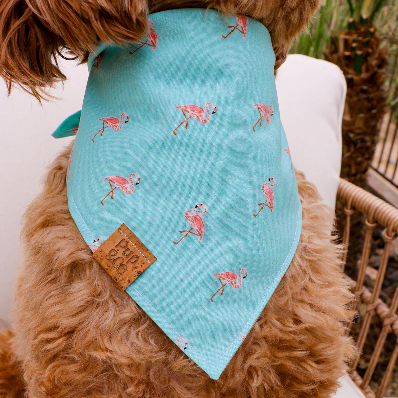 flamingo fiesta