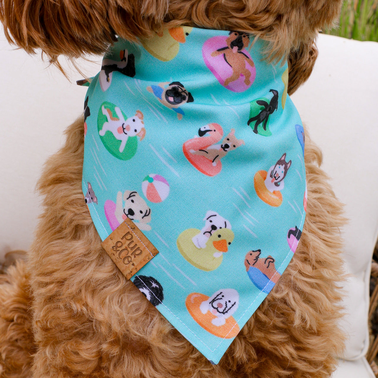 dog days of summer