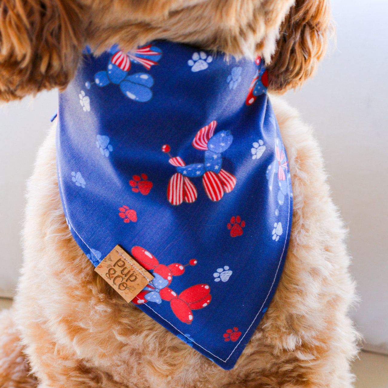 pawsitively patriotic