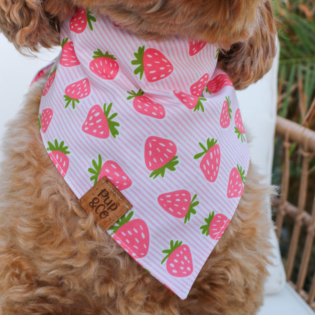 berry cute