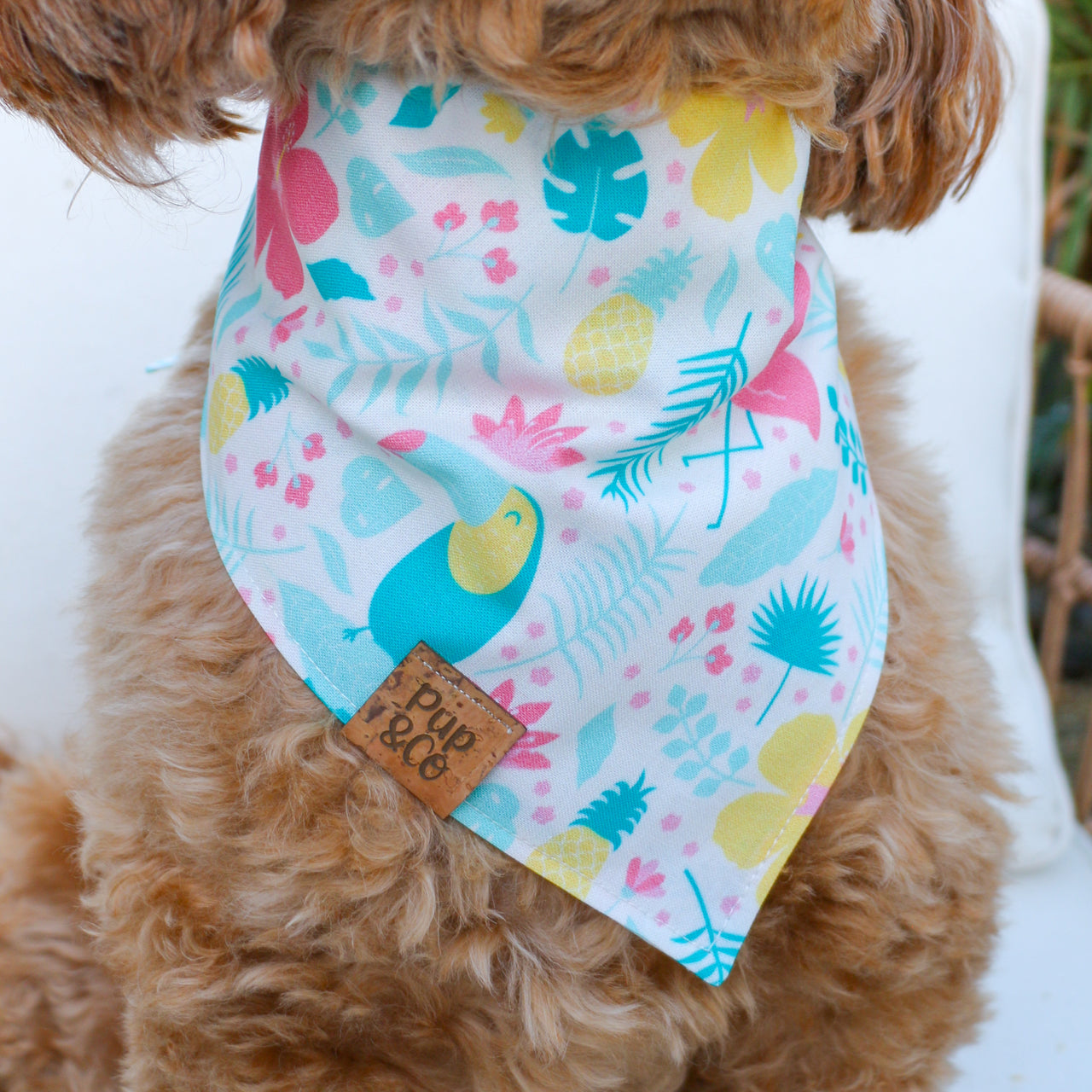 paradise pooch