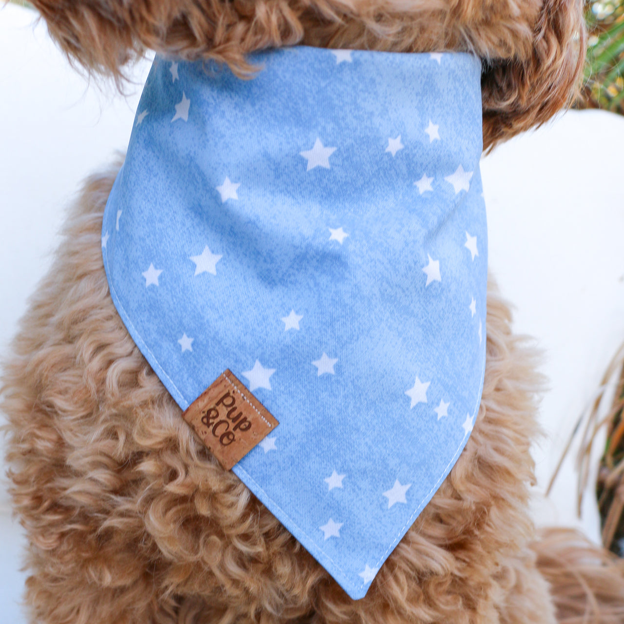 lucky stars