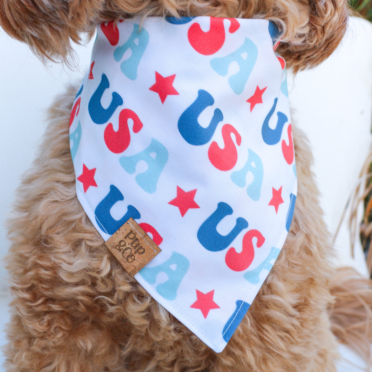 pawty in the usa
