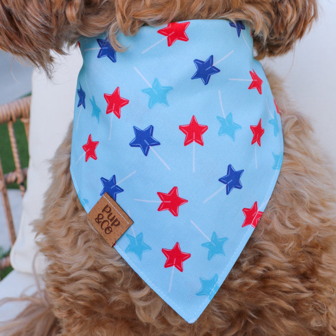 liberty lollipup