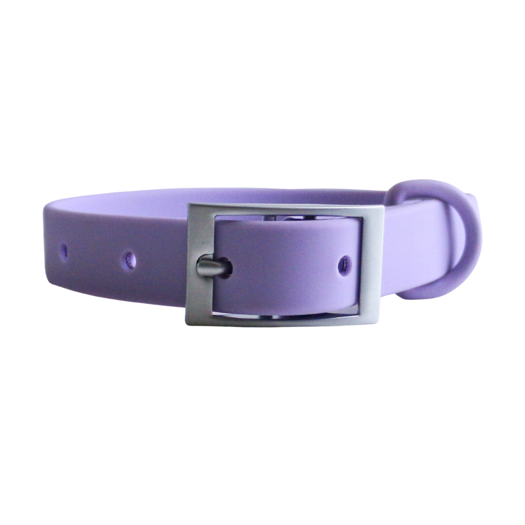 lovely lavender collar