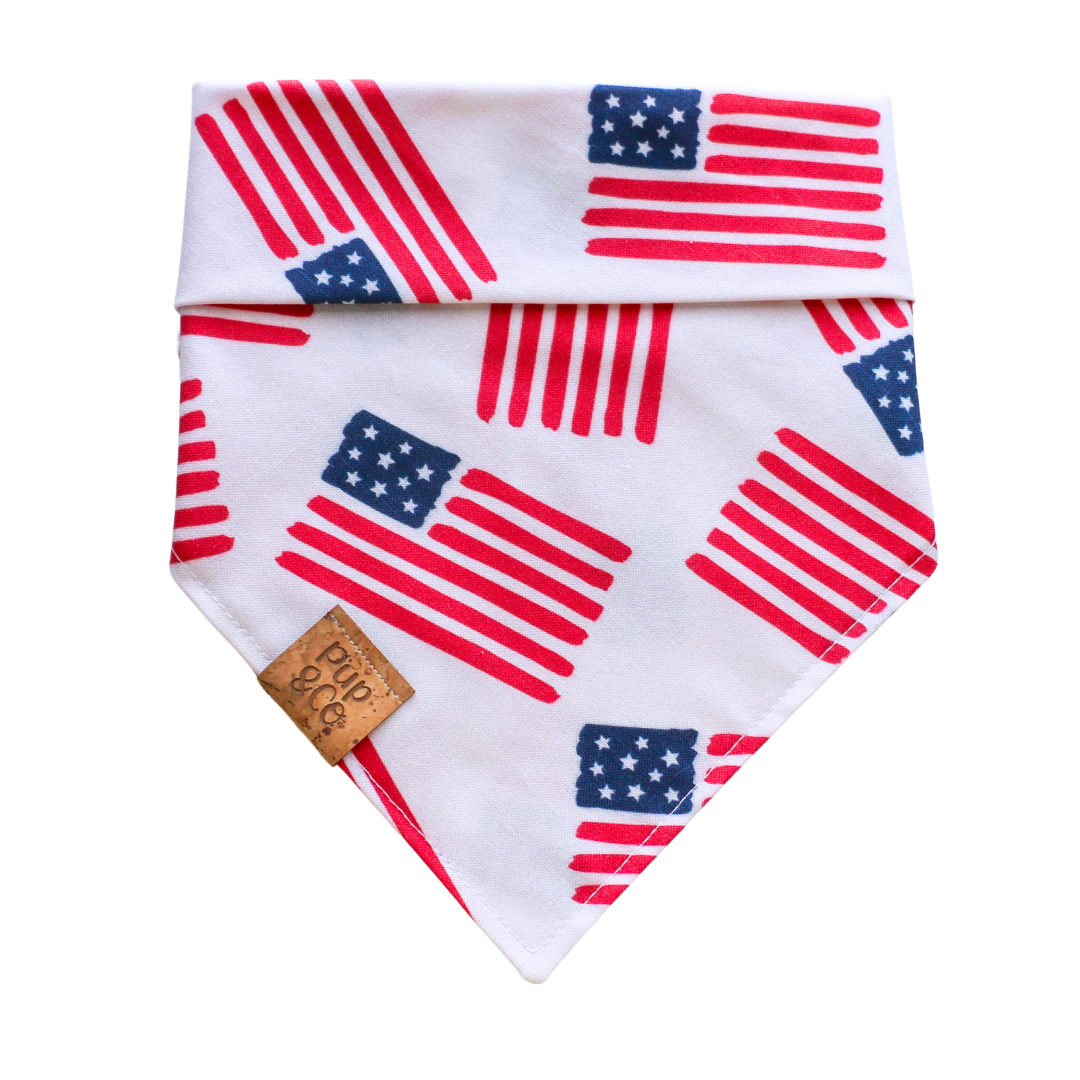 dog bless america