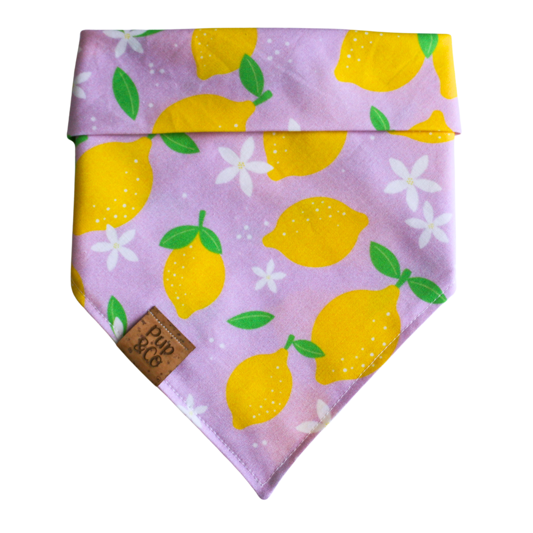 citrus splash