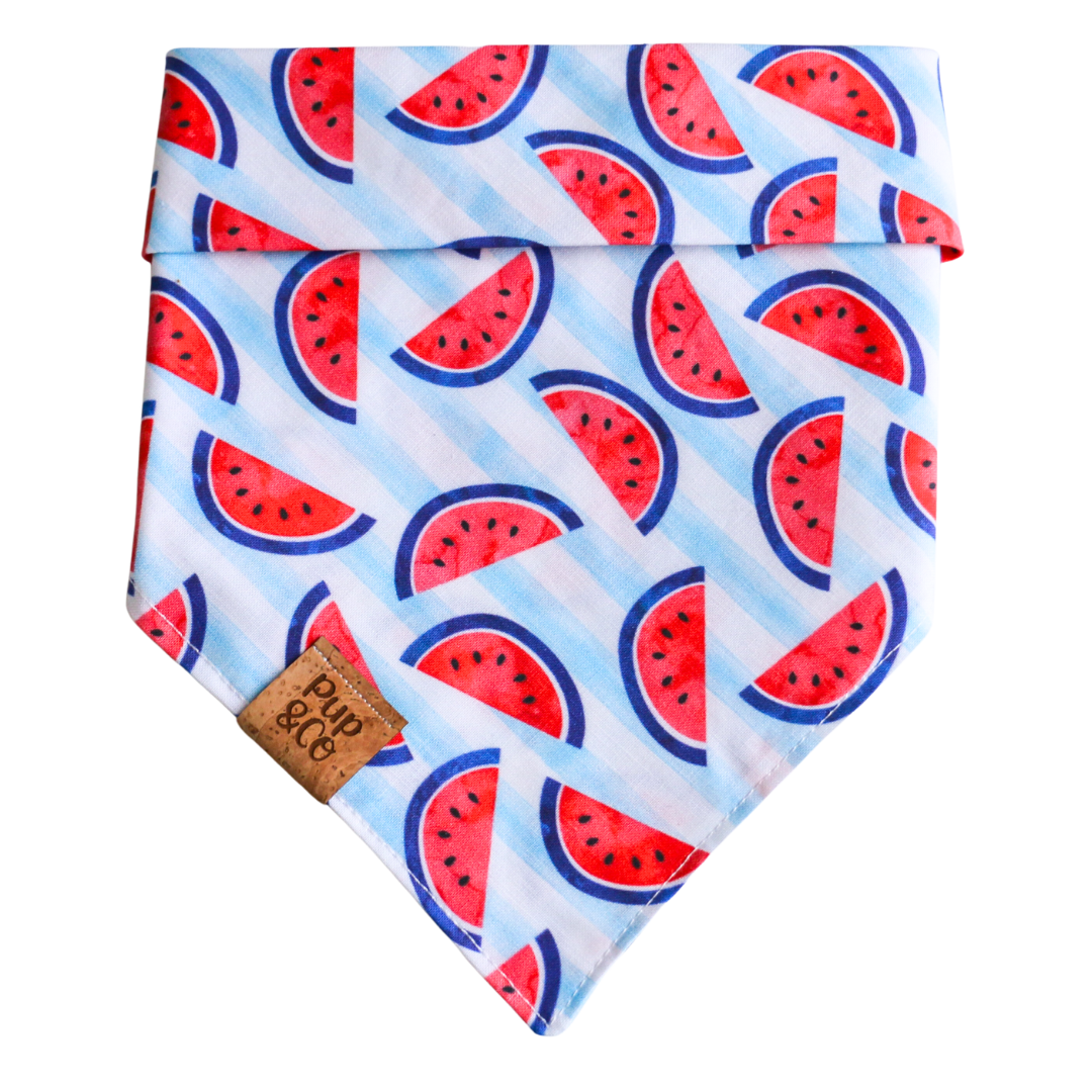 slice of summer