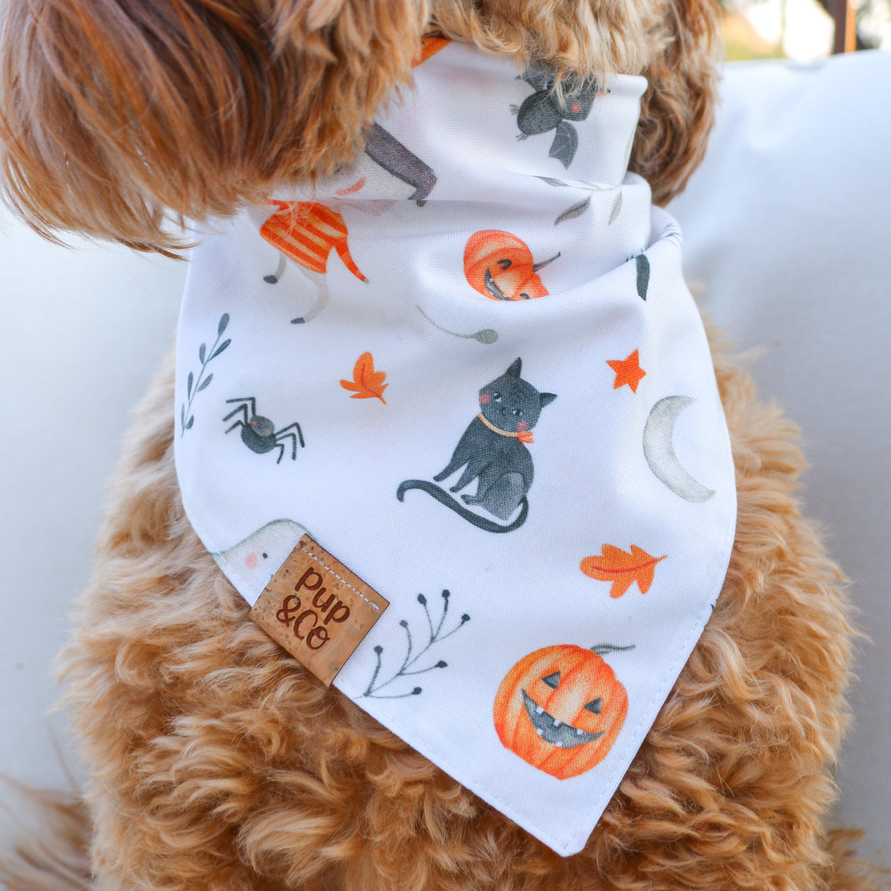 spooktacular
