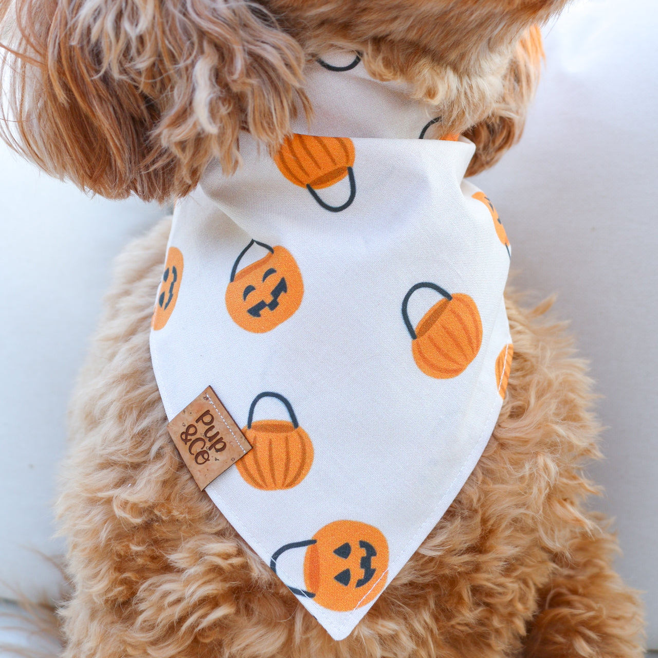trick or treat