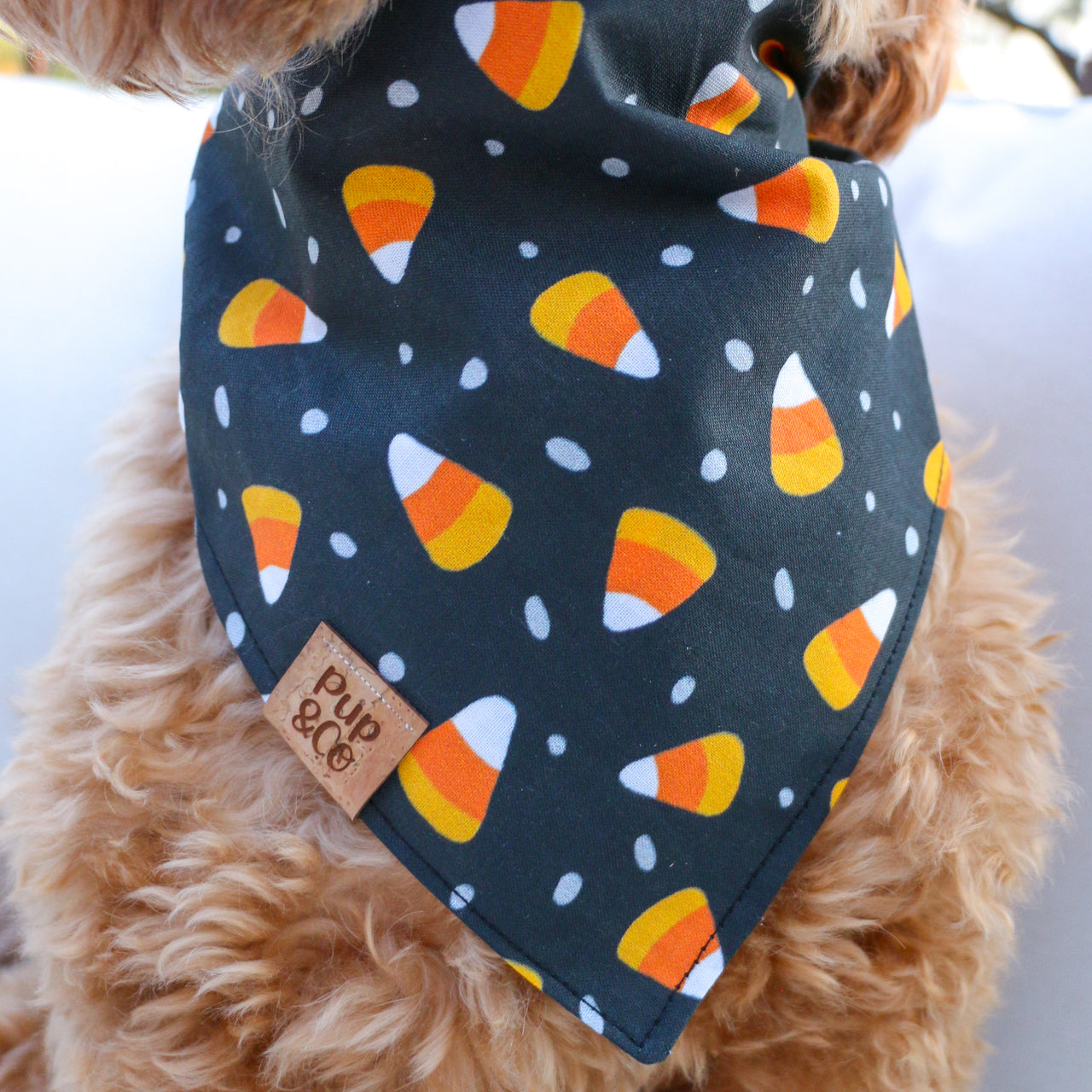 candy corn